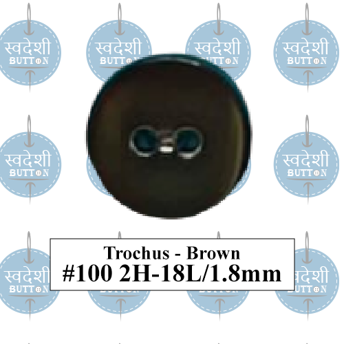Trochus - Brown_#100 2H-18L_1.8mm